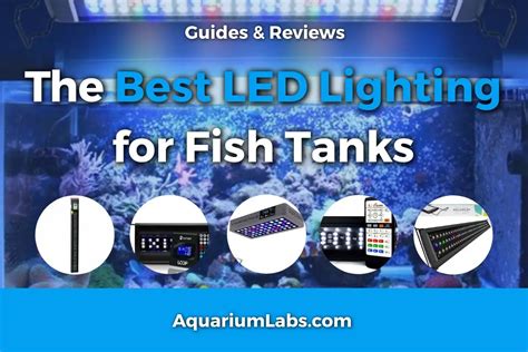 fish tank lamp|Best Aquarium LED Lighting [2025]: An Expert's Buying Guide.